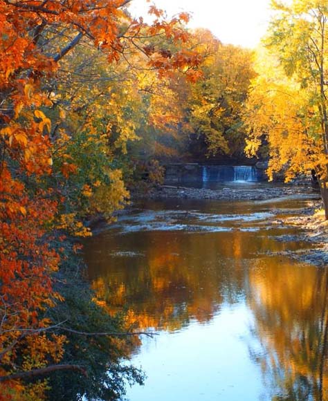 Fall trees overlook a calm lake