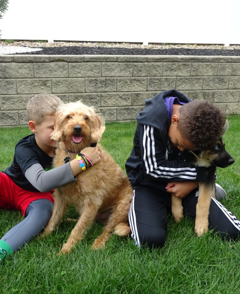 Kids hugging dogs in the park