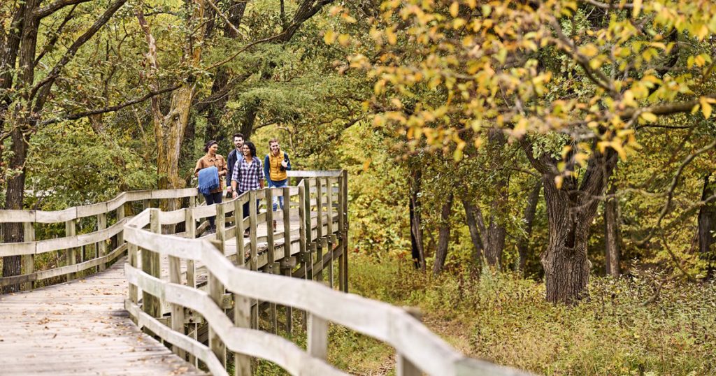 Group of young adults walking along a wooden footbridge in forest.