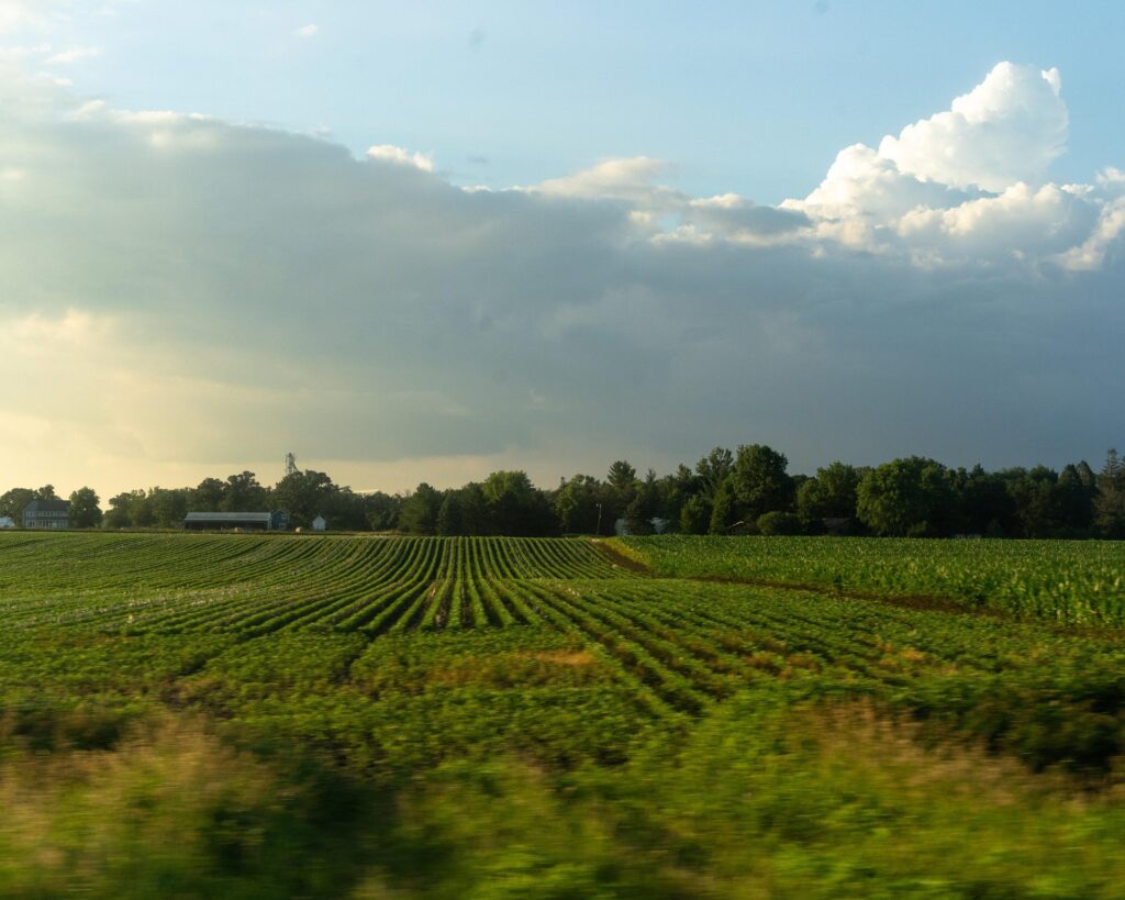 scenic view in Iowa photographed by Isaac Jarnigan