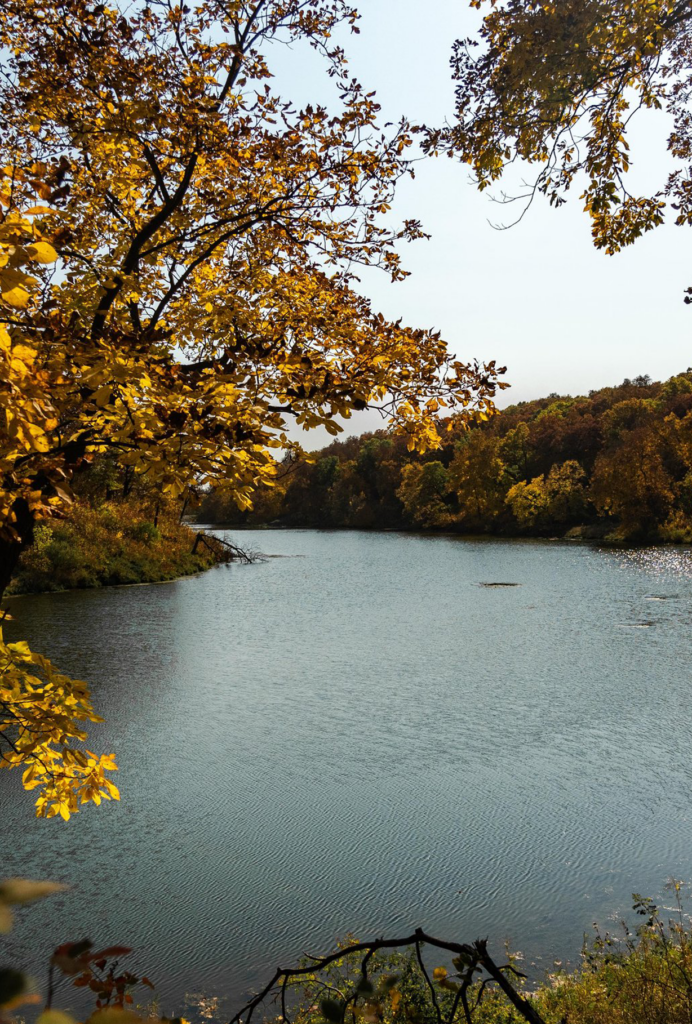 Iowa lake photographed by Isaac Jarnigan