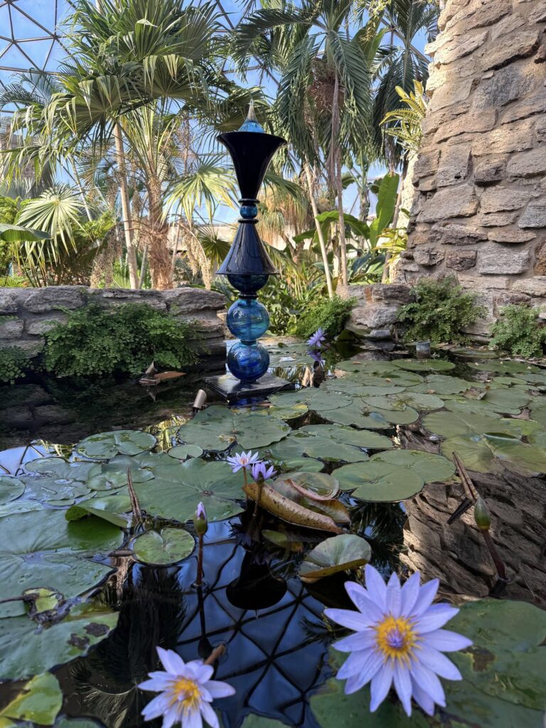 lilypads at the des moines botanical garden