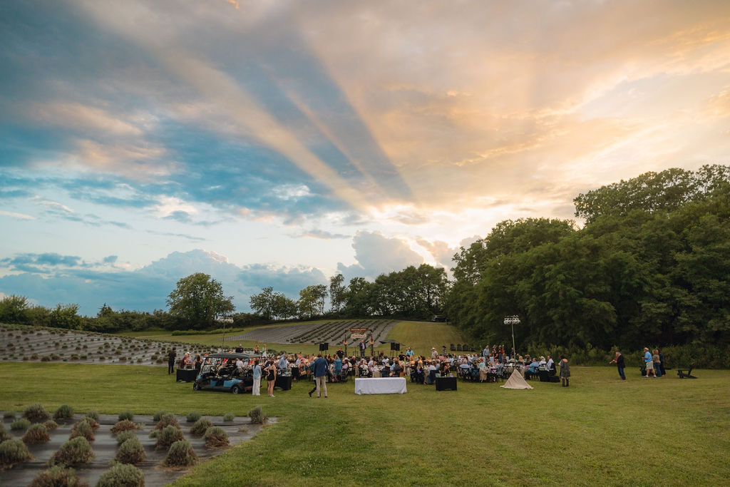 A crowd of people gather at an event at Calyx Creek Lavender Farm.